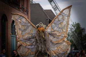 20240519-IMG 9366